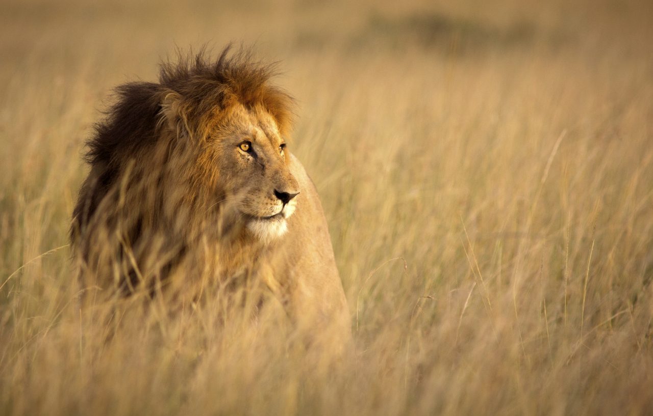 Botswana