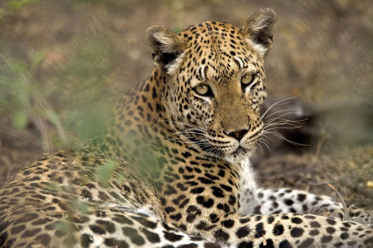 Botswana & Namibia: An Intrepid Adventure