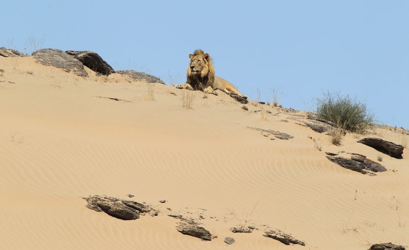 Namibia in Brief