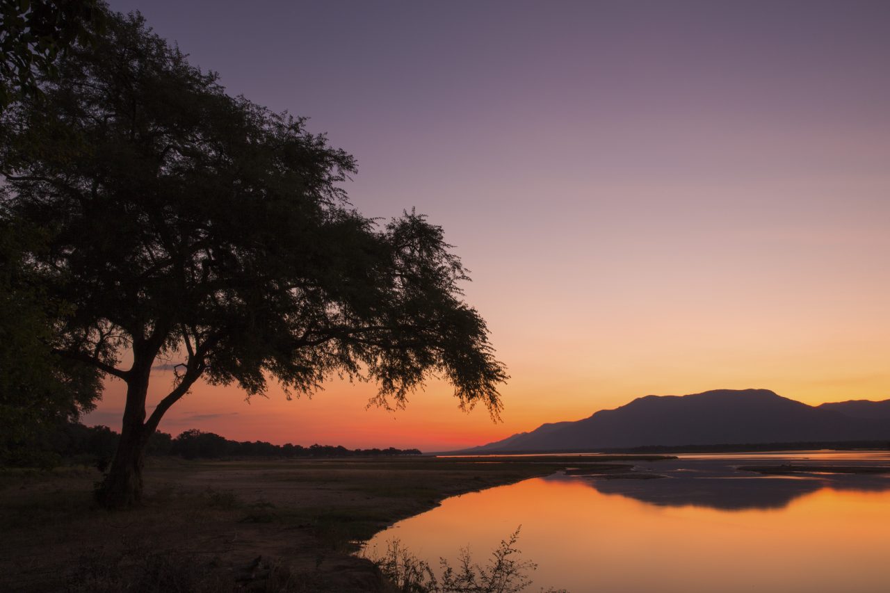 Zambia