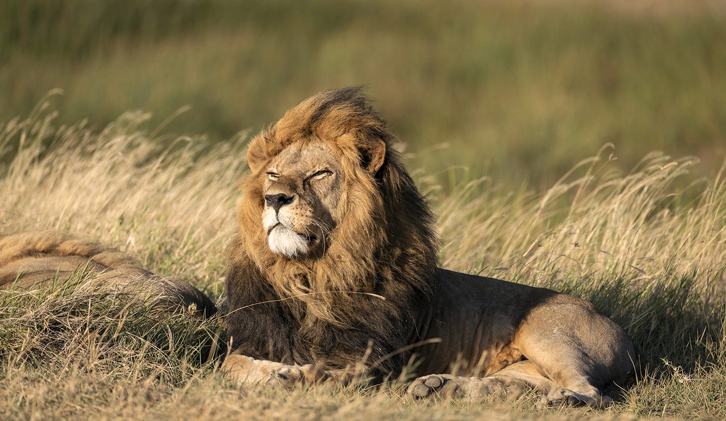 Tanzania